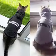 Security Hoodie